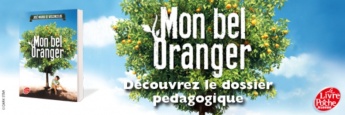Mon Bel oranger : découvrez notre nouvelle ressource pédagogique en complément du film