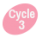 Cycle 3
